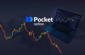 The Comprehensive Guide to the Trading Platform Pocket Option