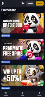 Bitfortune Casino Canada Payment Speed Fast & Reliable Transactions