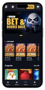 Tracking Transactions with Bitfortune Coin Payments