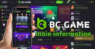Exploring the BC.Game Platform in Brazil A New Era of Online Gaming 632524426