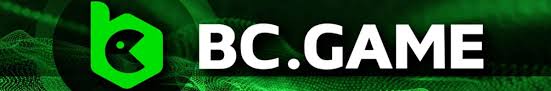 Understanding BC Game India Terms & Conditions A Comprehensive Guide 1011387473