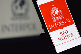 Understanding the Interpol Lawyers Team Roles and Significance