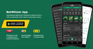 BetWinner Bookmaker Your Guide to Successful Online Betting
