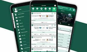 Explore the Thrilling World of BetWinner Online Casino